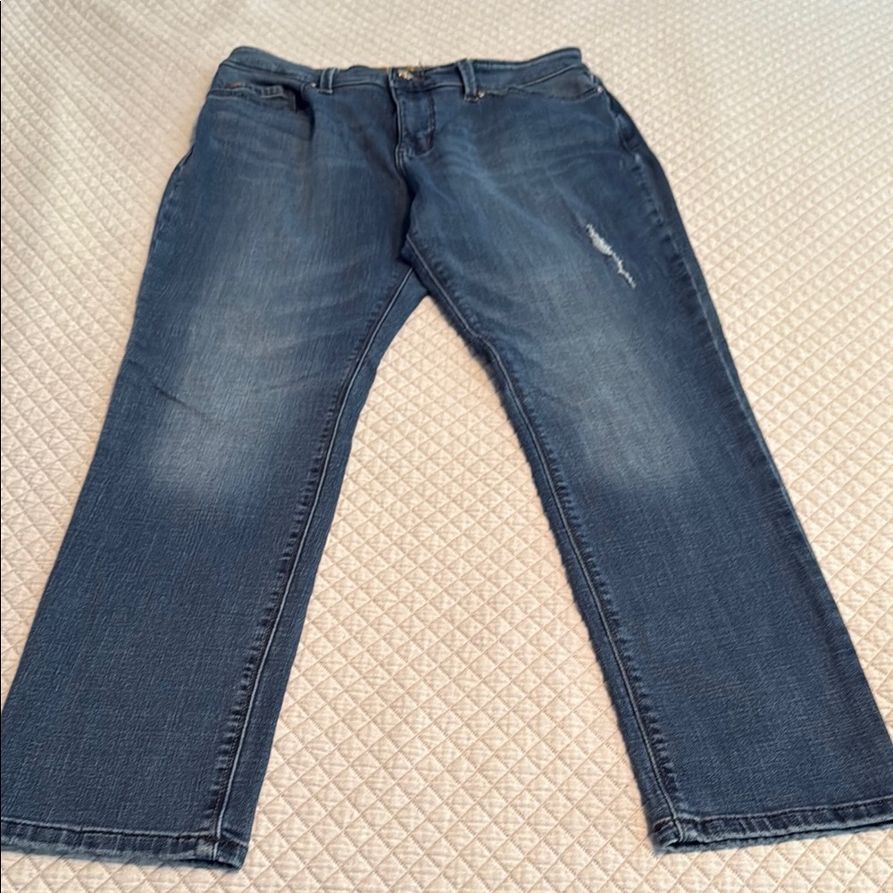 Lee Blue Skinny Jeans with Classic Wash